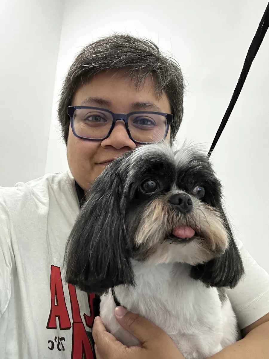 Derselbe Shih Tzu nach der Pflege mit kurzem, sauber geschnittenem Fell
